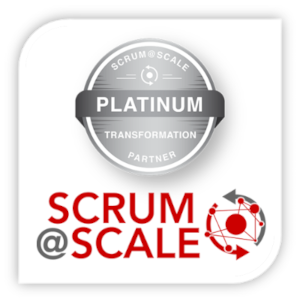 Scrum at Scale Platinum Partner - image