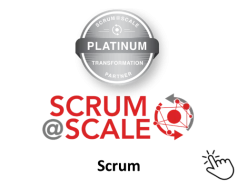 Image of the Scrum@Scale platinum transformation partner logo.  Select to access our site area for Scrum agile and Scrum@Scale agile with free Scrum support resources.