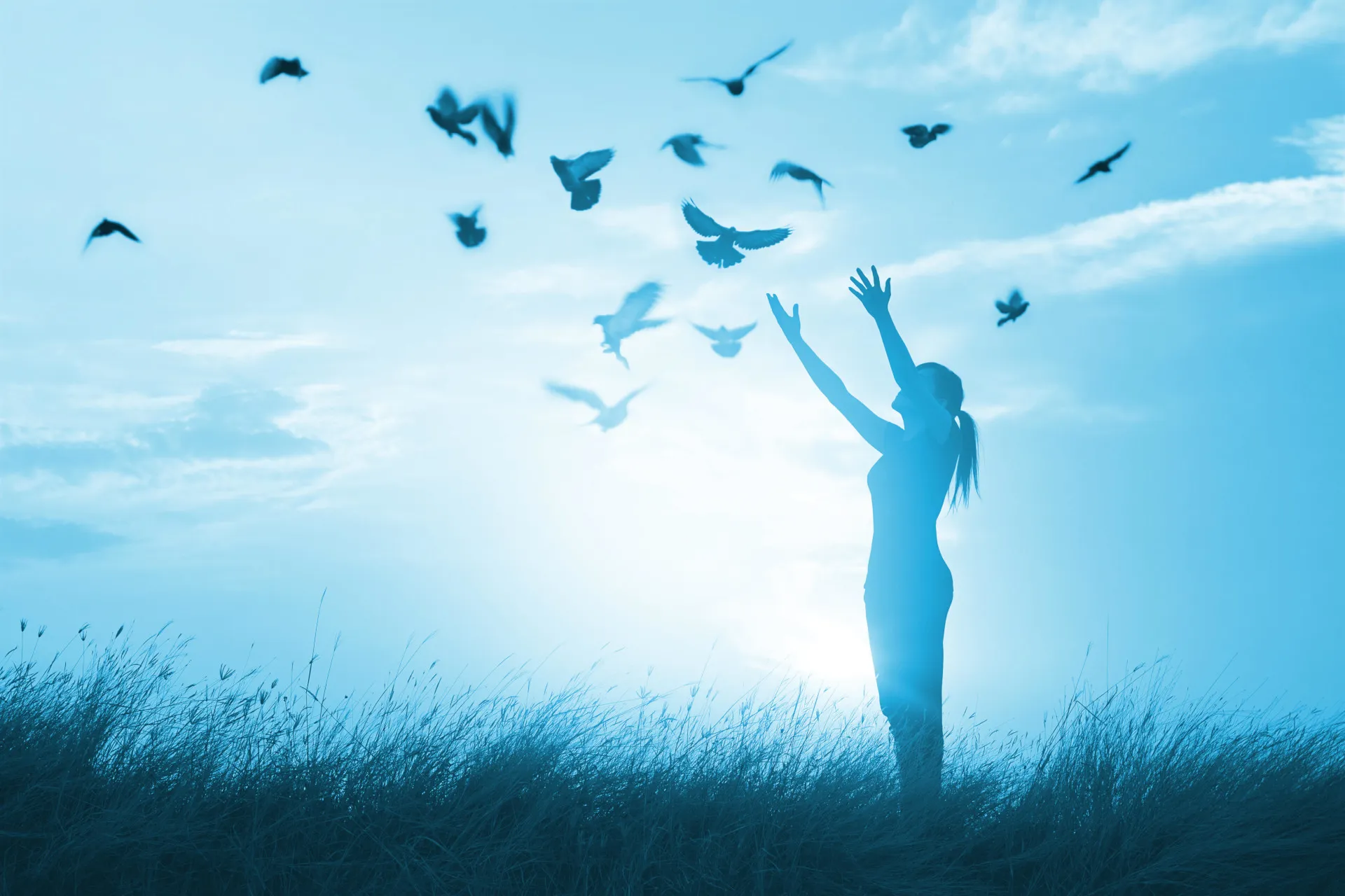 Background Image depicting release and freedom - Doves Departing