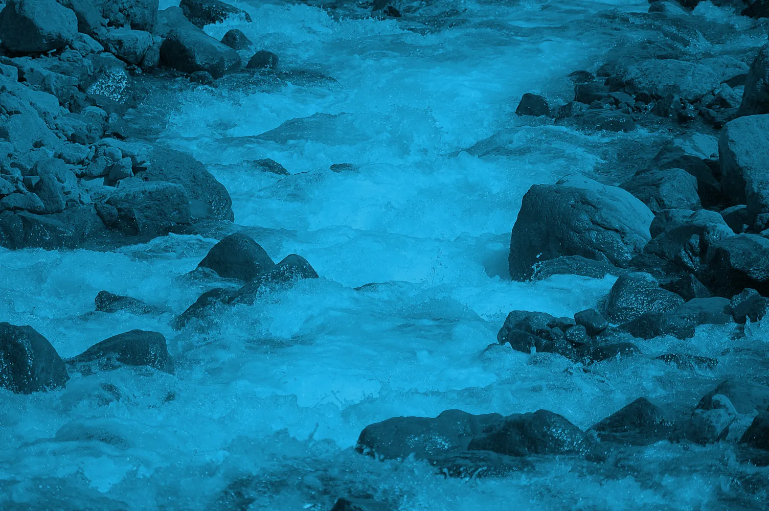 Organizing around the value stream