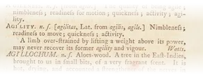 Johnson's definition of Agility from 1755: Agi'lity. n.s. [agilitas, Lat. from agilis, agile.] Nimbleness; readiness to move; quickness; activity. A limb over-strained by lifting a weight above its power, may never recover its former agility and vigour. Watts.