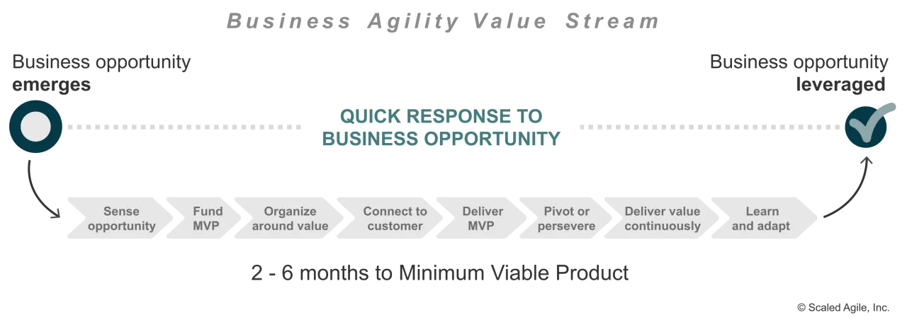 The sequence of steps a business goes through each time it wished to pursue a new opportunity
